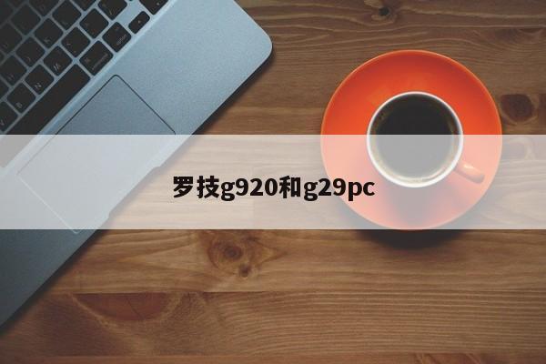 罗技g920和g29pc