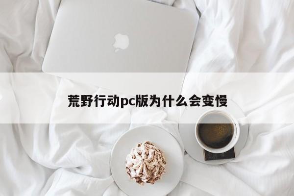 荒野行动pc版为什么会变慢