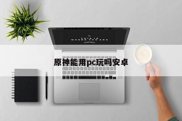 原神能用pc玩吗安卓