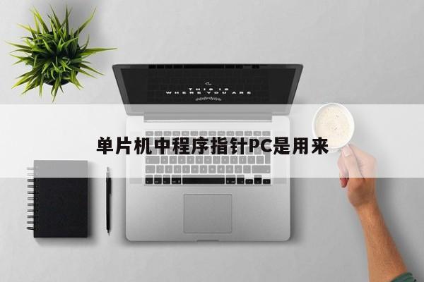 单片机中程序指针PC是用来